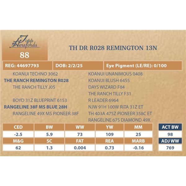 TH DR R028 REMINGTON 13N