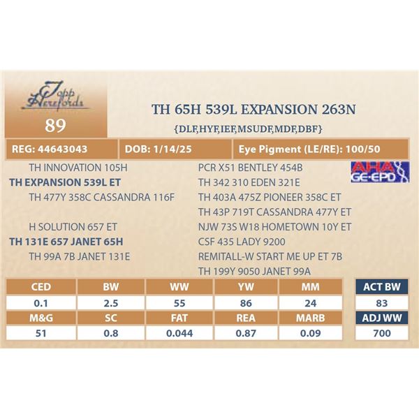 TH 65H 539L EXPANSION 263N