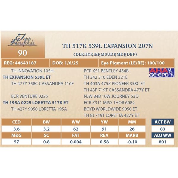 TH 517K 539L EXPANSION 207N