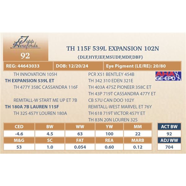 TH 115F 539L EXPANSION 102N