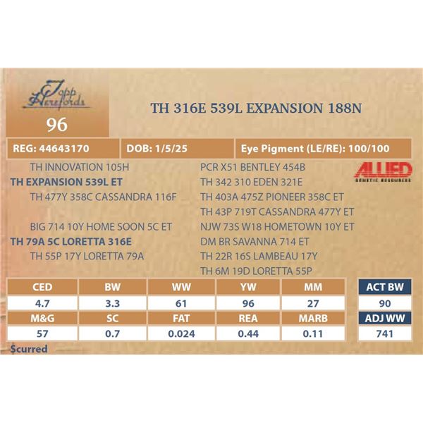 TH 316E 539L EXPANSION 188N