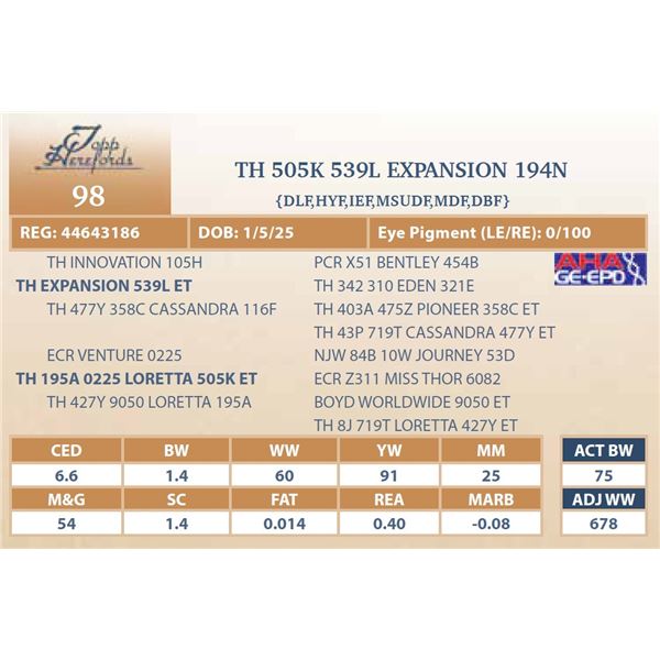 TH 505K 539L EXPANSION 194N