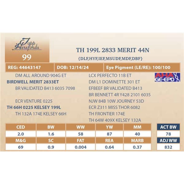 TH 199L 2833 MERIT 44N