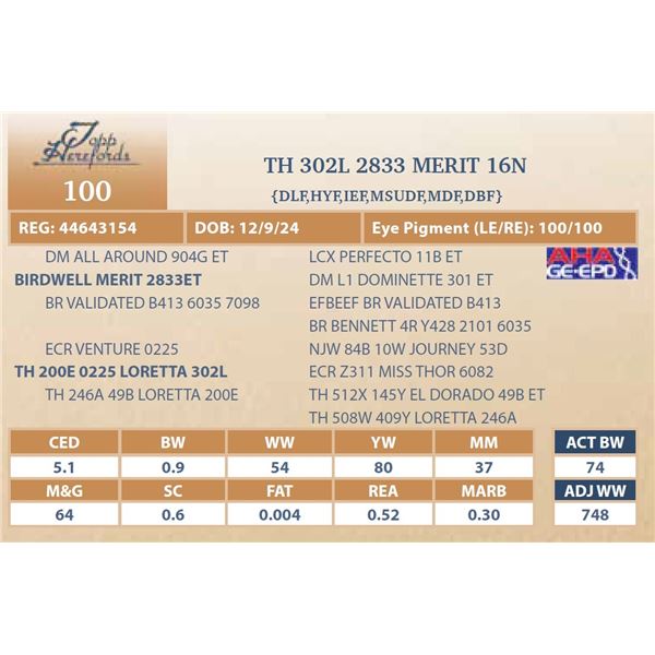 TH 302L 2833 MERIT 16N