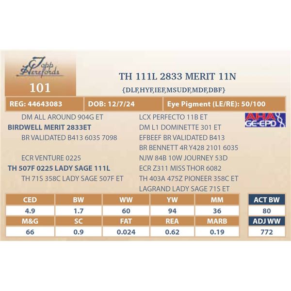 TH 111L 2833 MERIT 11N