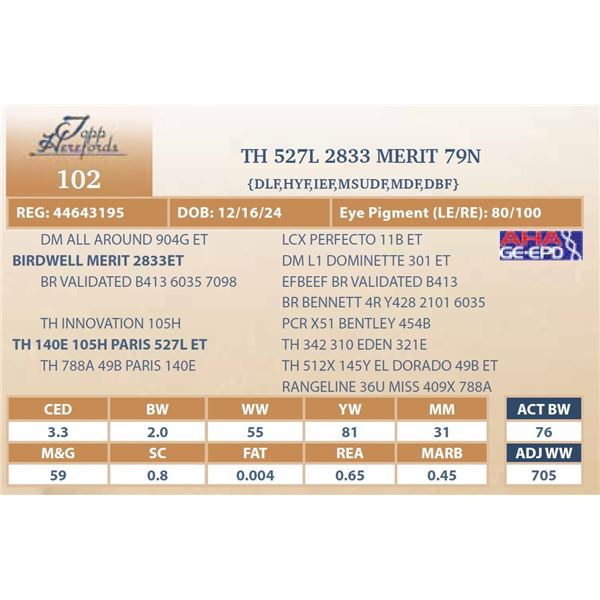 TH 527L 2833 MERIT 79N