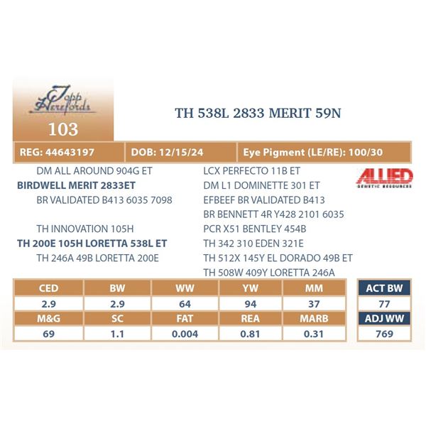 TH 538L 2833 MERIT 59N