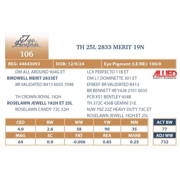 TH 25L 2833 MERIT 19N