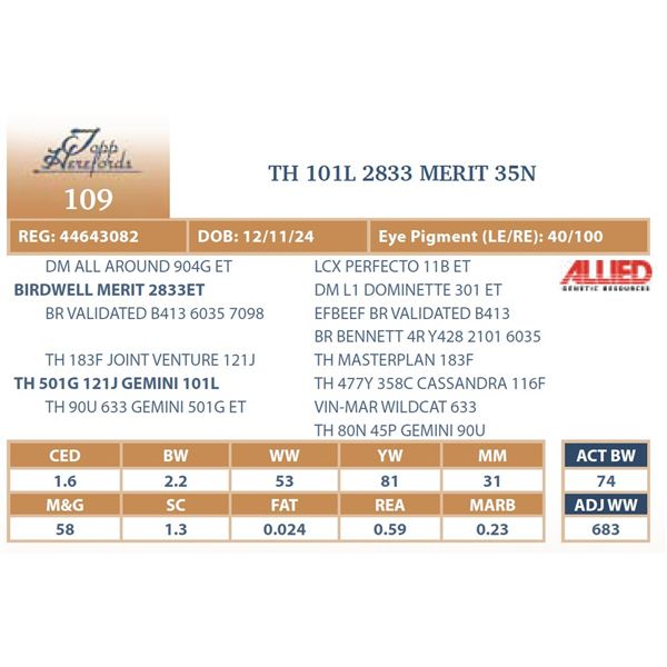 TH 101L 2833 MERIT 35N
