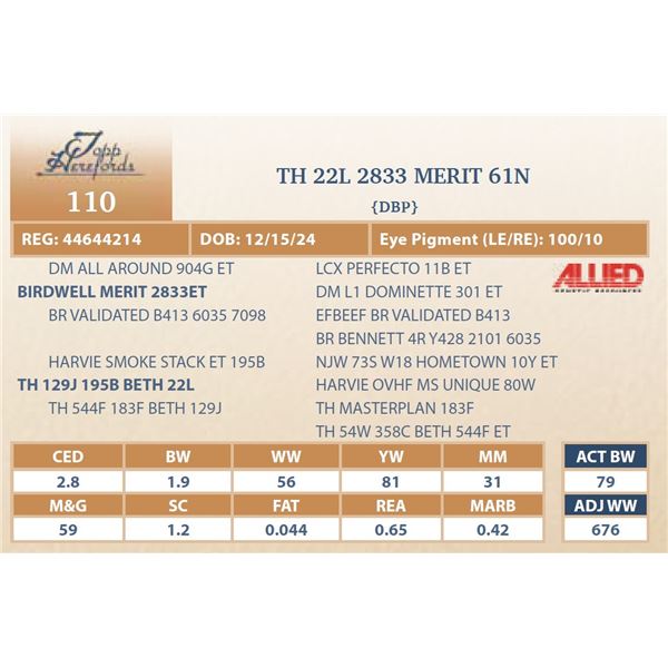 TH 22L 2833 MERIT 61N