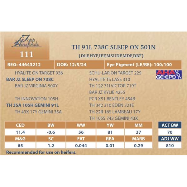 TH 91L 738C SLEEP ON 501N