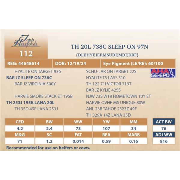 TH 20L 738C SLEEP ON 97N