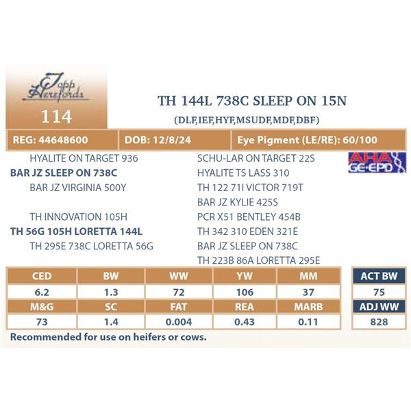 TH 144L 738C SLEEP ON 15N