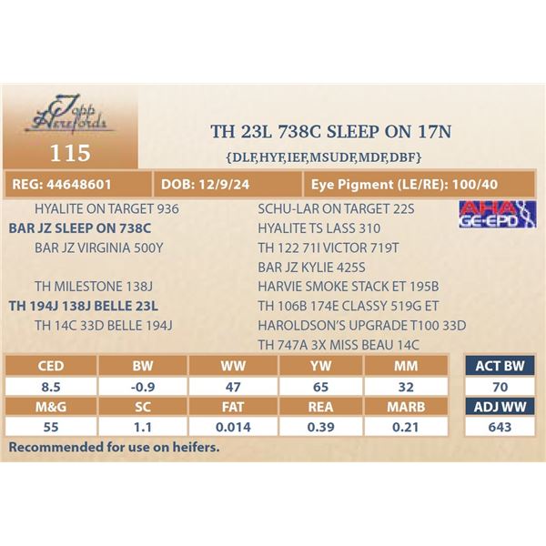 TH 23L 738C SLEEP ON 17N