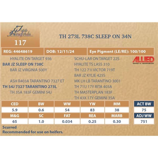 TH 273L 738C SLEEP ON 34N