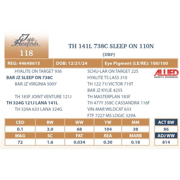 TH 141L 738C SLEEP ON 110N
