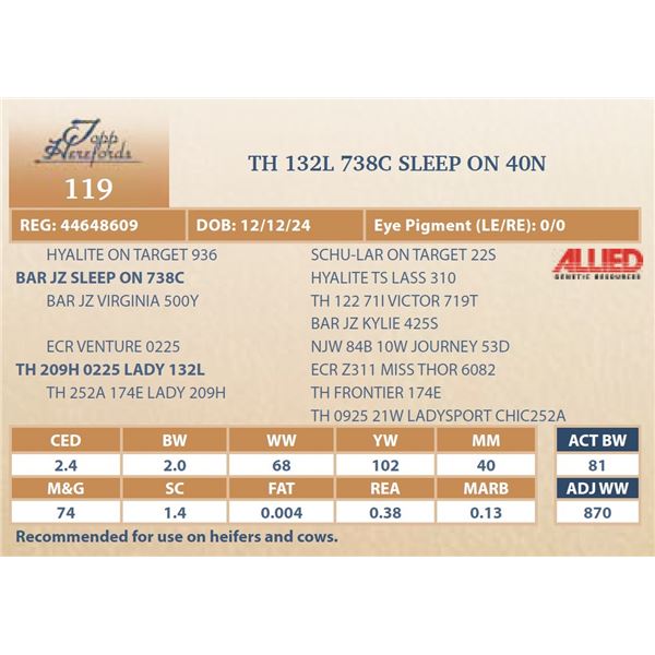 TH 132L 738C SLEEP ON 40N