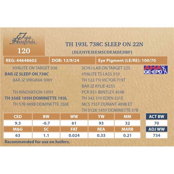 TH 193L 738C SLEEP ON 22N