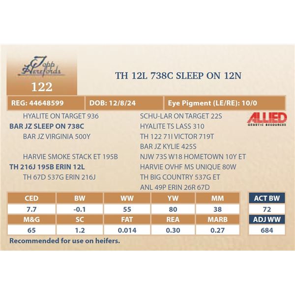 TH 12L 738C SLEEP ON 12N