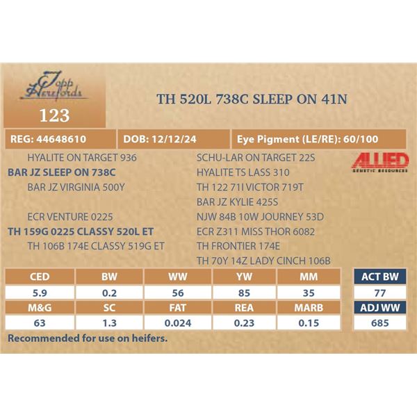 TH 520L 738C SLEEP ON 41N