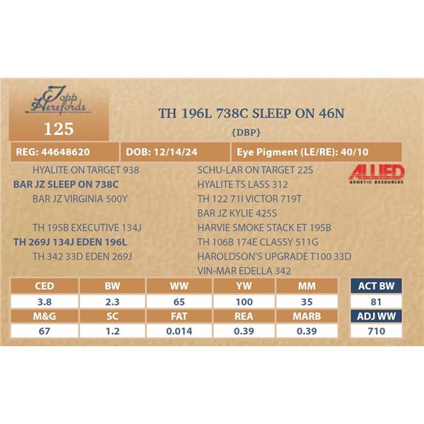 TH 196L 738C SLEEP ON 46N