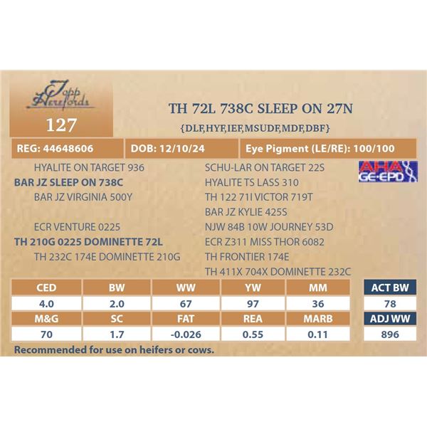 TH 72L 738C SLEEP ON 27N