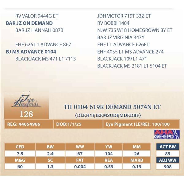 TH 0104 619K DEMAND 5074N ET