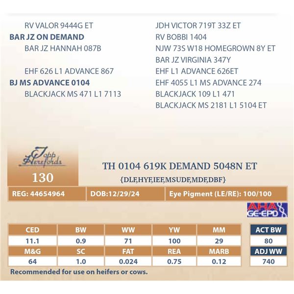 TH 0104 619K DEMAND 5048N ET