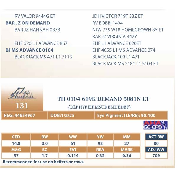 TH 0104 619K DEMAND 5081N ET