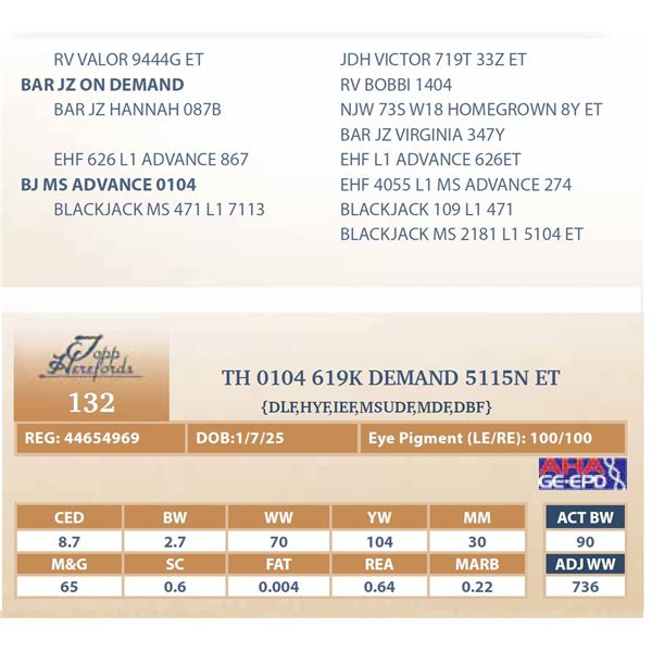 TH 0104 619K DEMAND 5115N ET