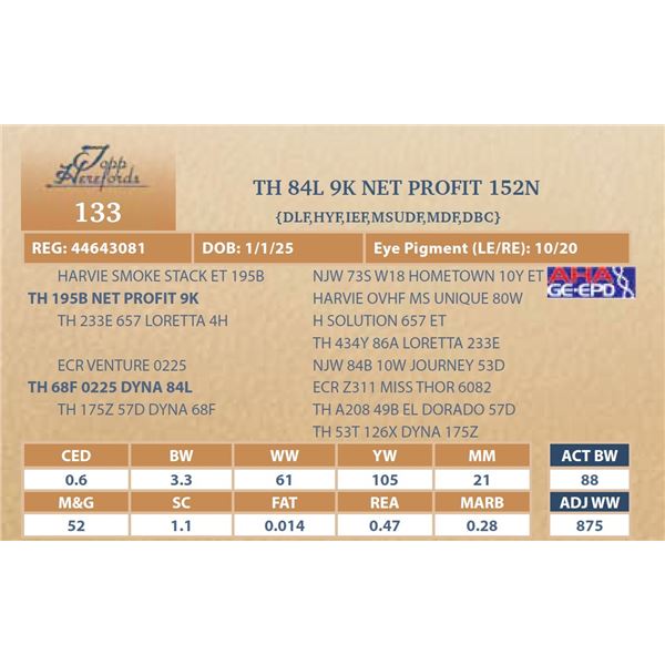 TH 84L 9K NET PROFIT 152N