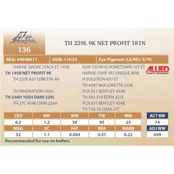 TH 229L 9K NET PROFIT 181N