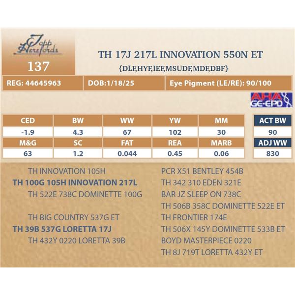 TH 17J 217L INNOVATION 550N ET