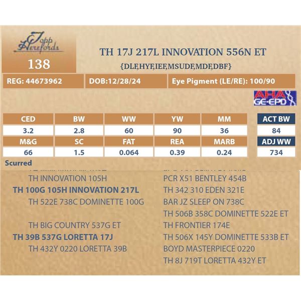 TH 17J 217L INNOVATION 556N ET