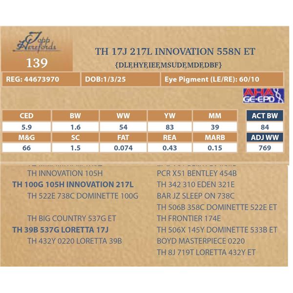 TH 17J 217L INNOVATION 558N ET