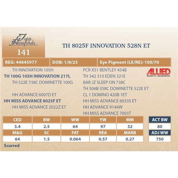 TH 8025F INNOVATION 528N ET
