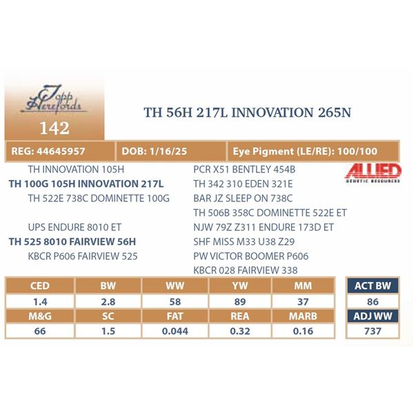 TH 56H 217L INNOVATION 265N
