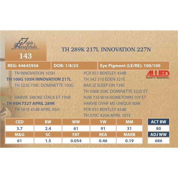 TH 289K 217L INNOVATION 227N