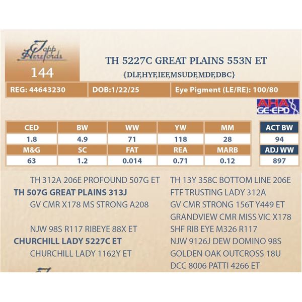 TH 5227C GREAT PLAINS 553N ET