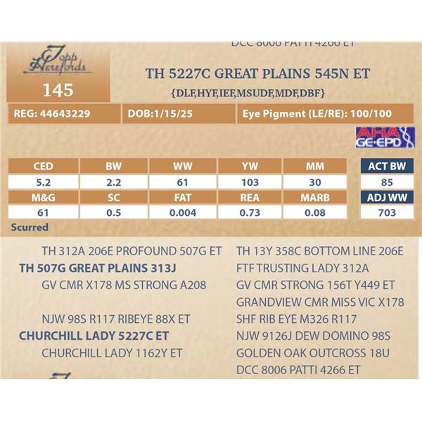 TH 5227C GREAT PLAINS 545N ET