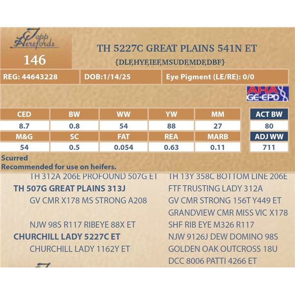 TH 5227C GREAT PLAINS 541N ET