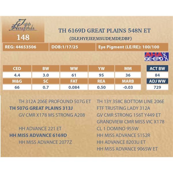 TH 6169D GREAT PLAINS 548N ET