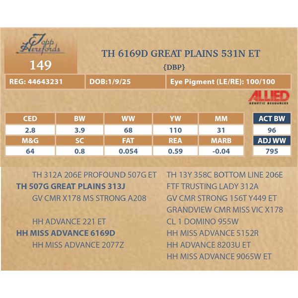 TH 6169D GREAT PLAINS 531N ET