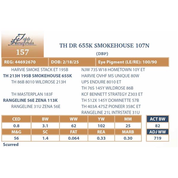 TH DR 655K SMOKEHOUSE 107N