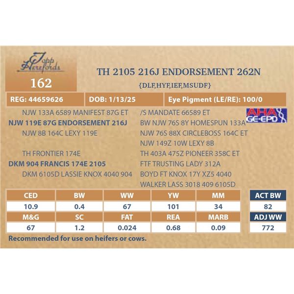 TH 2105 216J ENDORSEMENT 262N