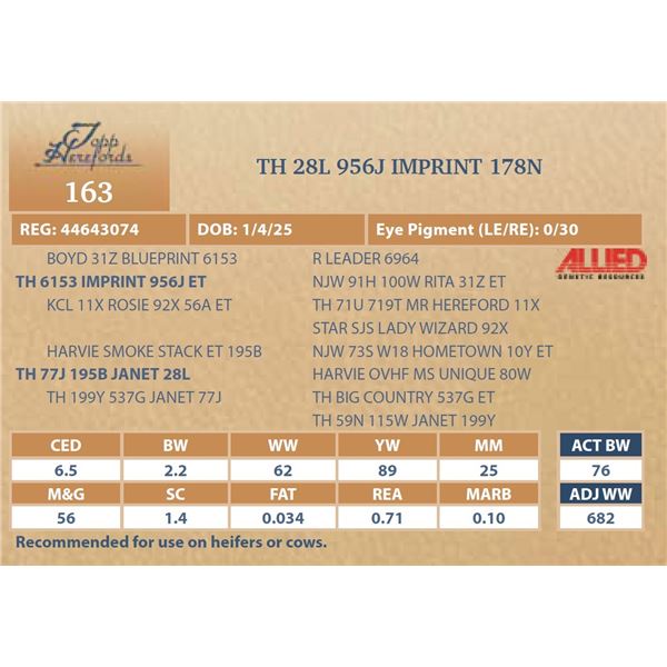 TH 28L 956J IMPRINT 178N