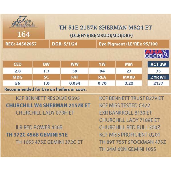 TH 51E 2157K SHERMAN M524 ET