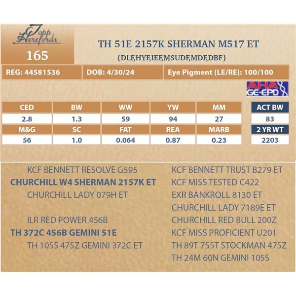 TH 51E 2157K SHERMAN M517 ET