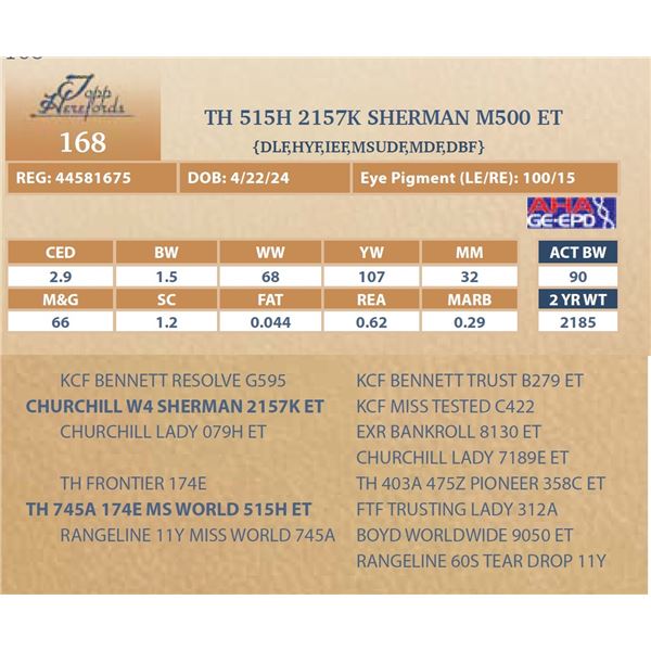 TH 515H 2157K SHERMAN M500 ET