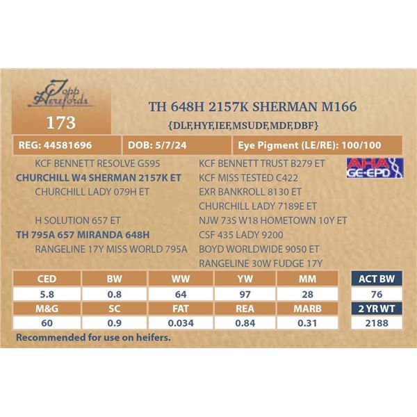 TH 648H 2157K SHERMAN M166